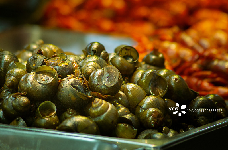 堆积的大量的田螺图片素材