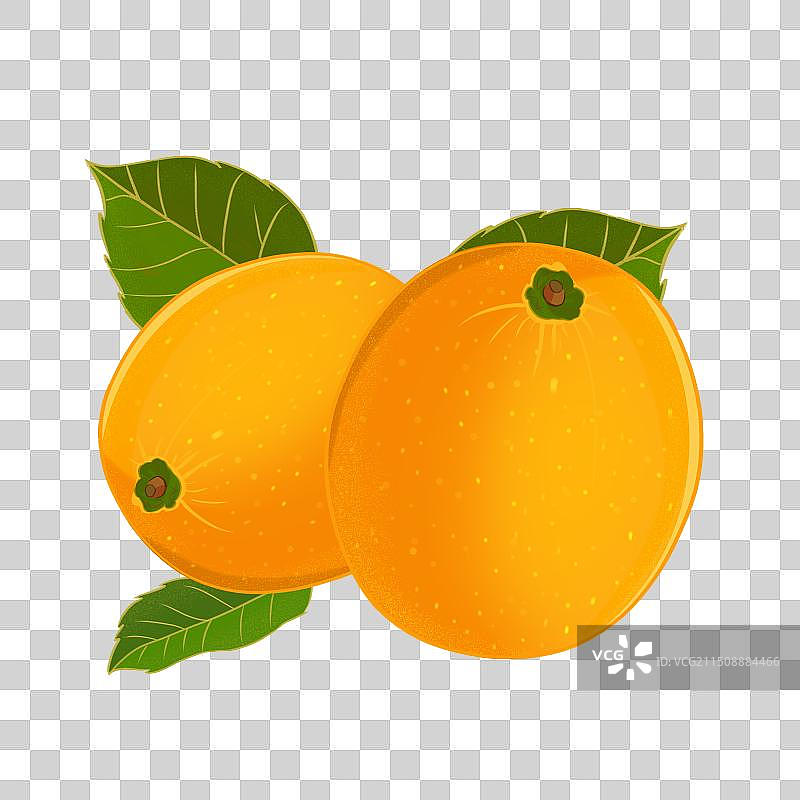 黄金百香果插画卡通手绘包装元素图片素材