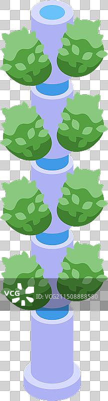 2.5D水培植物塔图片素材