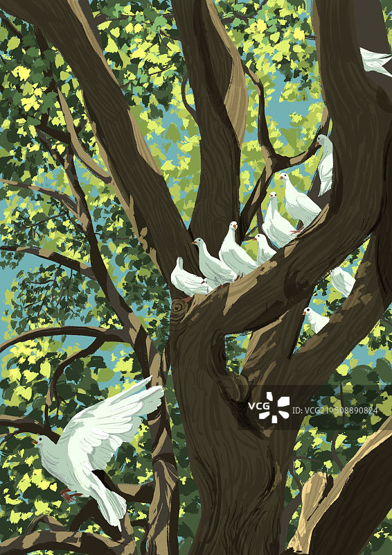 树荫下图片素材