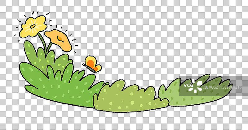 美丽的自然植物群图片素材