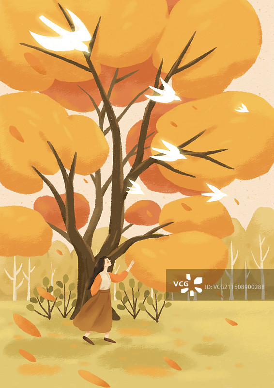 秋天树插画图片素材