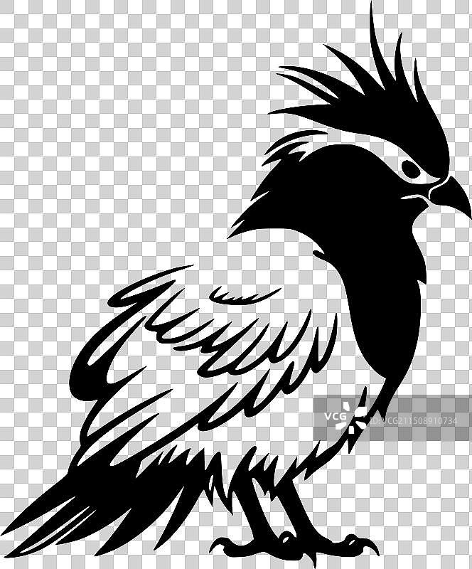 高品质的鹦鹉标志，适用于T恤图片素材