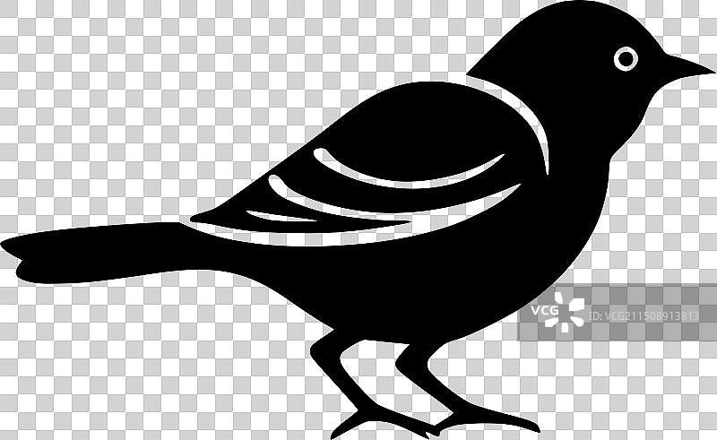 知更鸟黑白隔离图标图片素材