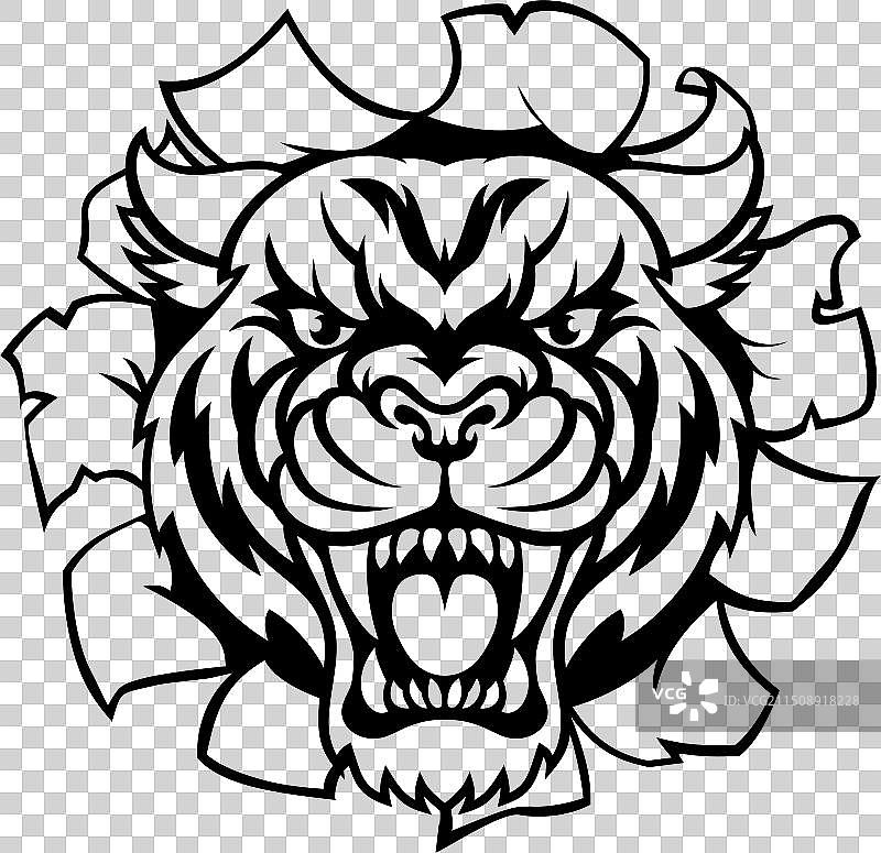 老虎背景图图片素材