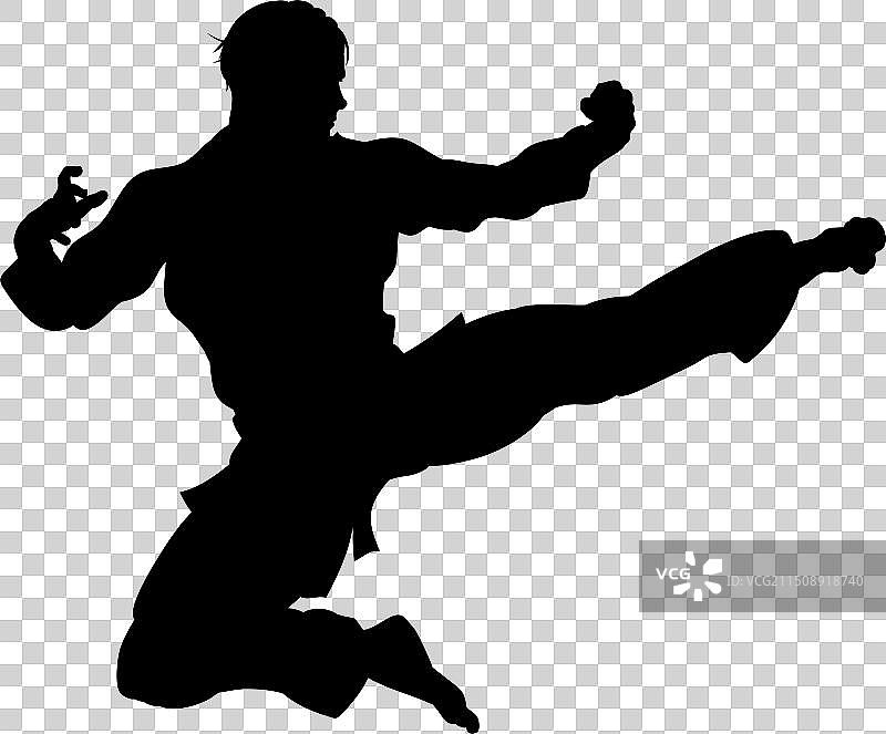 空手道或功夫飞踢剪影图片素材