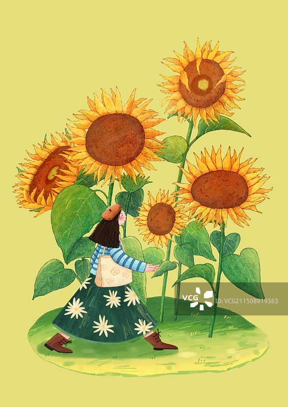 向日葵立秋插画图片素材