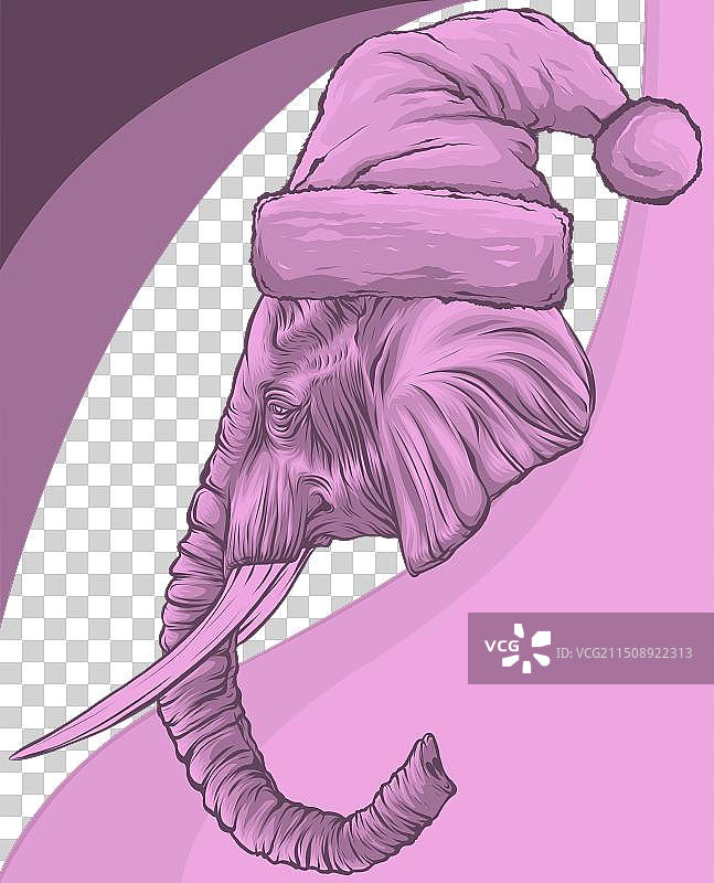 戴圣诞老人帽的大象图片素材