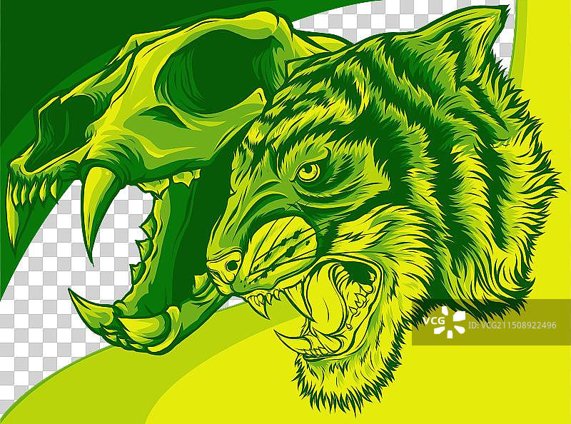 老虎头骨图片素材