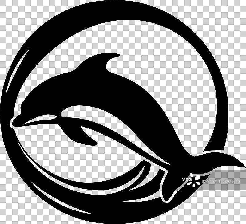 黑白海豚图片素材