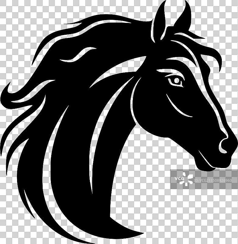 黑白马图片素材