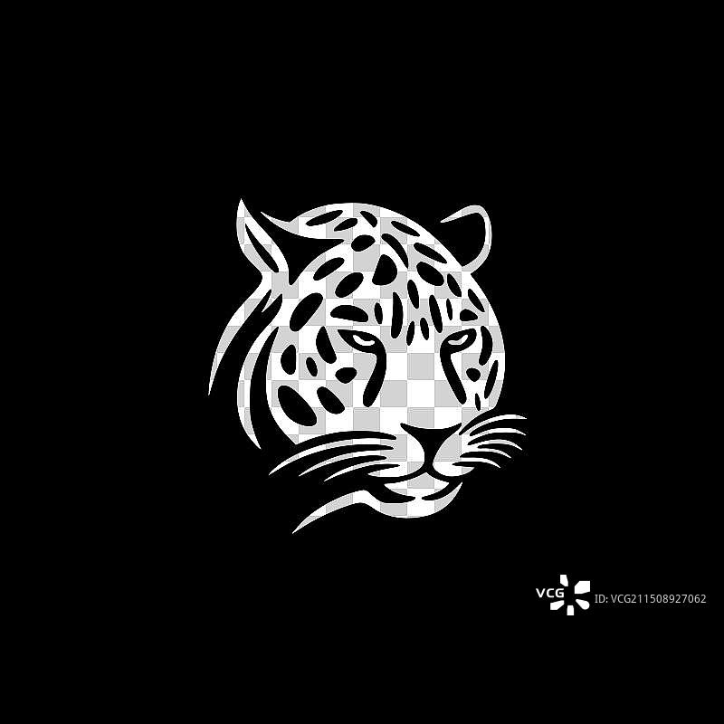 黑白豹图片素材