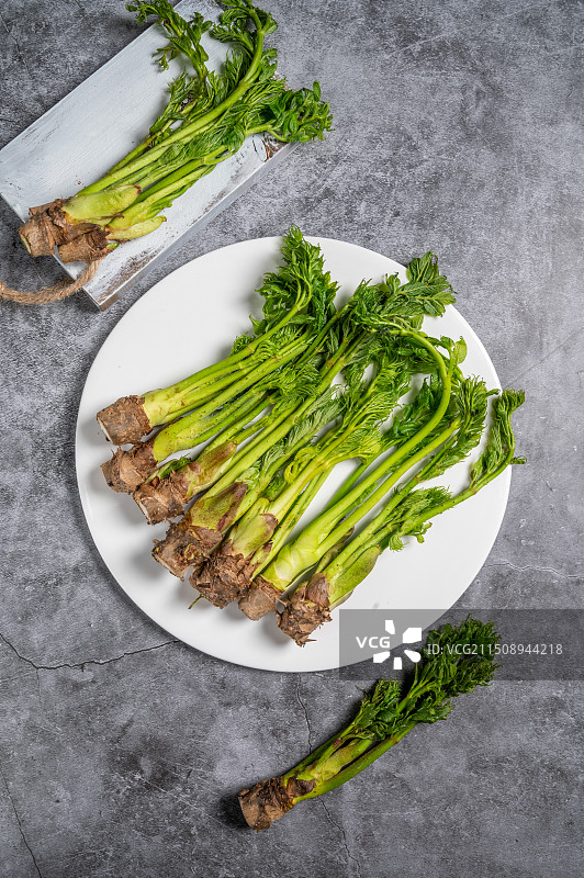 东北野生山野菜图片素材