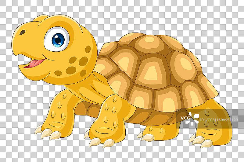 卡通可爱的苏卡达陆龟图片素材