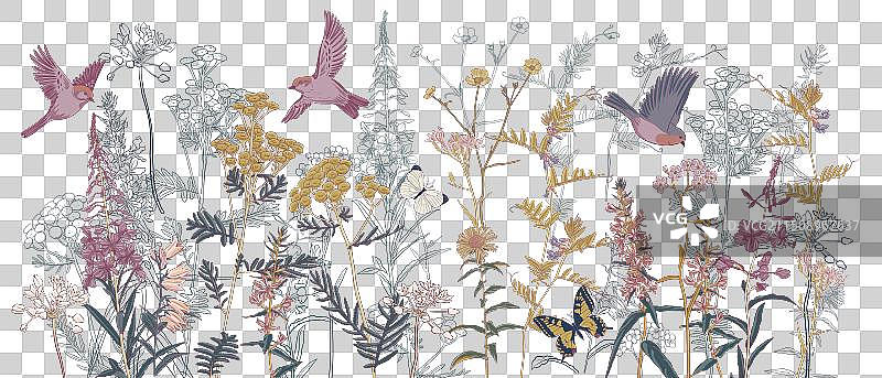 花鸟画图片素材