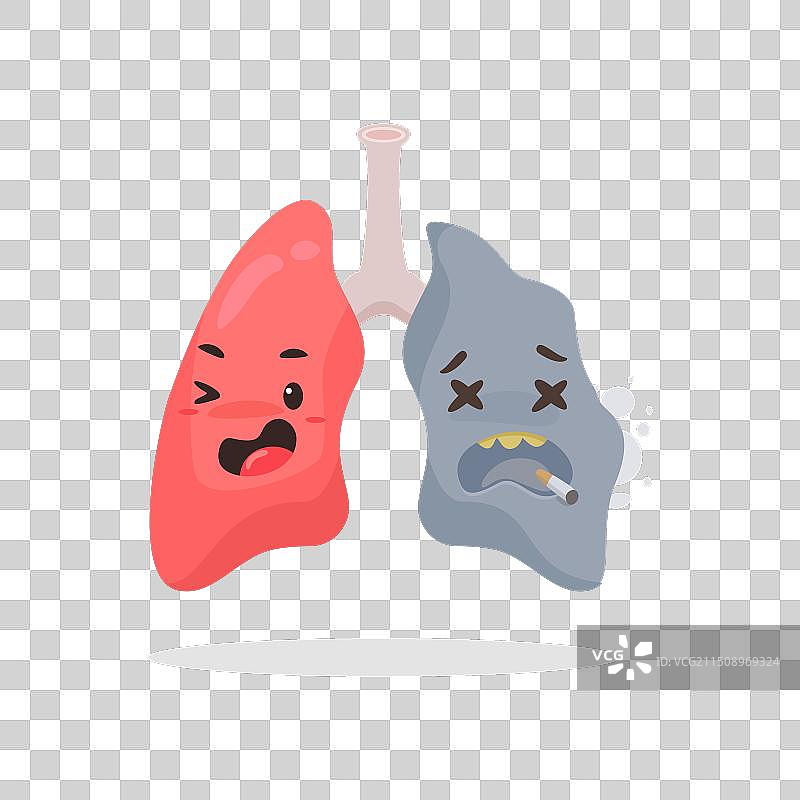 健康肺部与吸烟肺部图片素材
