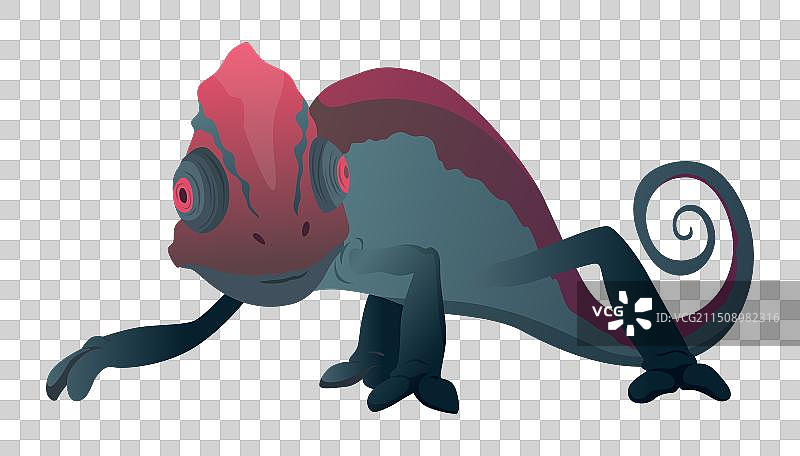 卷尾蜥蜴变色龙爬行动物图片素材