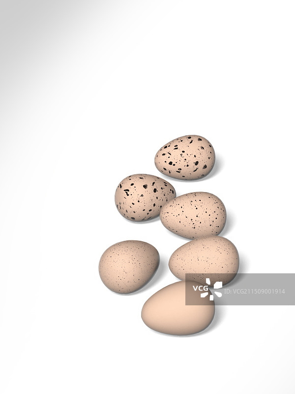 蛋鸡蛋鹌鹑蛋阵列摆放图片素材