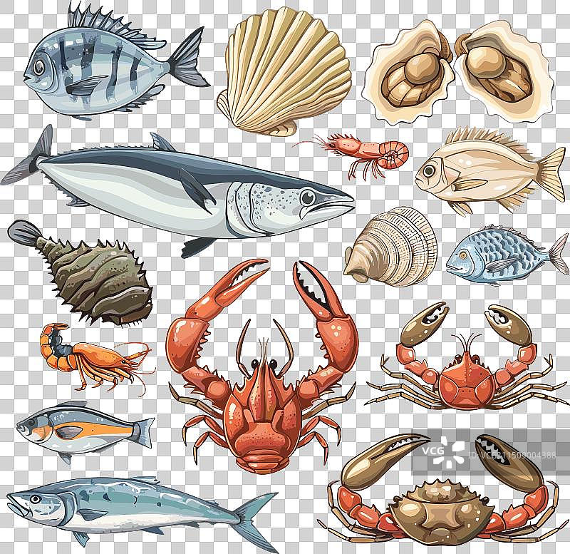 海鲜卡通套装鱼蟹蚝图片素材