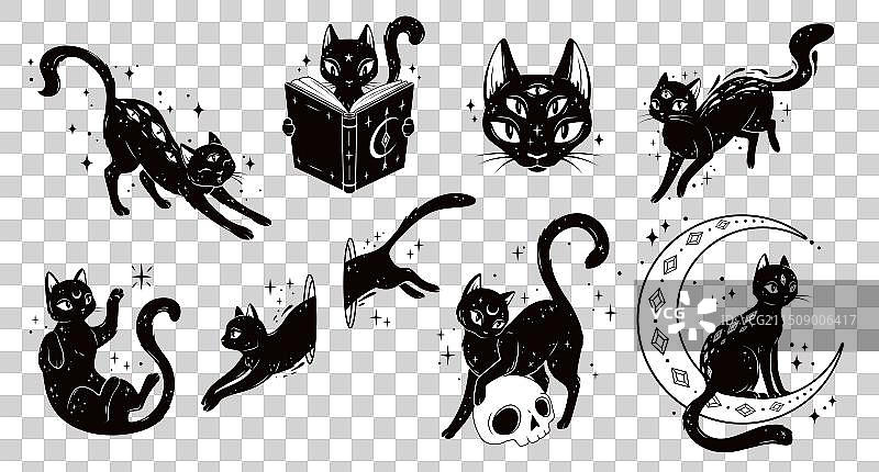 神秘黑猫动物剪影魔法图片素材