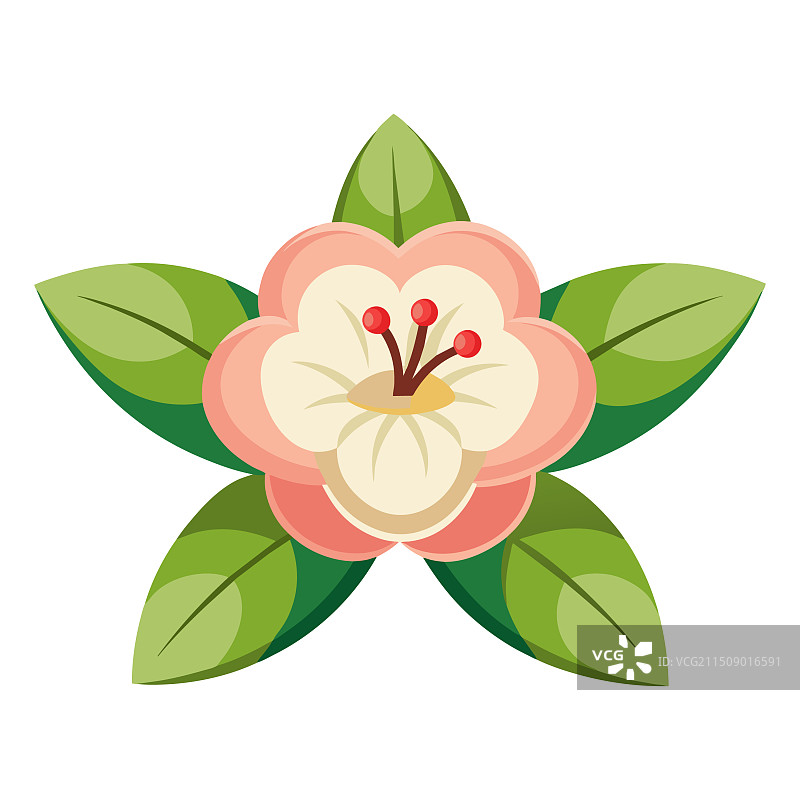 扁平风格苹果花图片素材