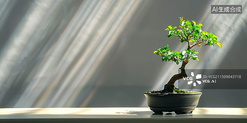 【AI数字艺术】灰色墙面背景下的盆景特写图片素材