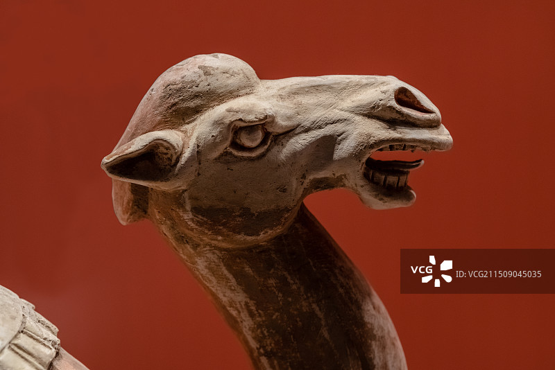 嘉兴博物馆，长武县博物馆藏唐代彩绘双峰载物骆驼俑图片素材