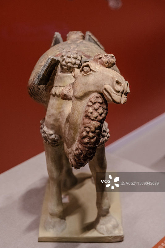 嘉兴博物馆，长武县博物馆藏唐代彩绘双峰载物骆驼俑图片素材