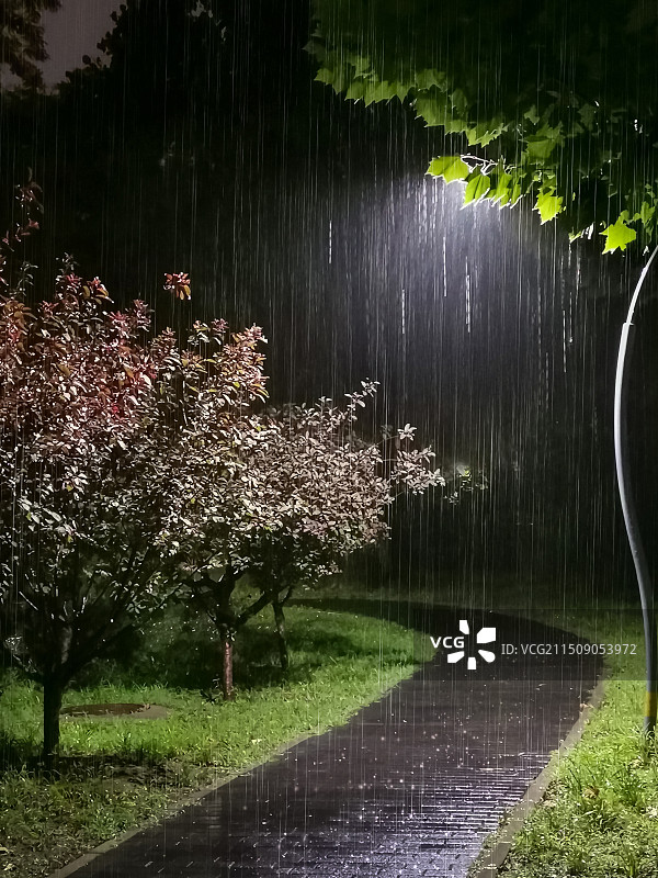 夜 雨图片素材