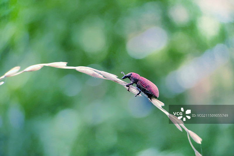 闲暇时刻图片素材