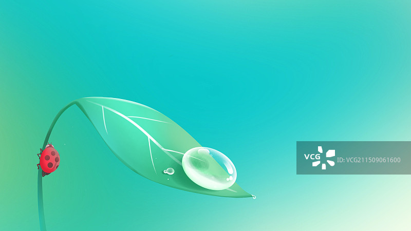 唯美清新沾着露水的绿叶与小虫绿色插画图片素材