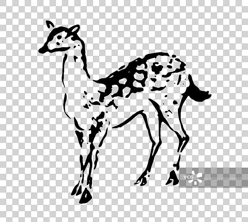 鹿，梅花鹿，动物，线描，黑白，中国风，古典风格，插画，设计，元素。图片素材