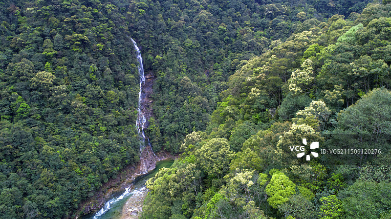 福建武夷山桐木关图片素材