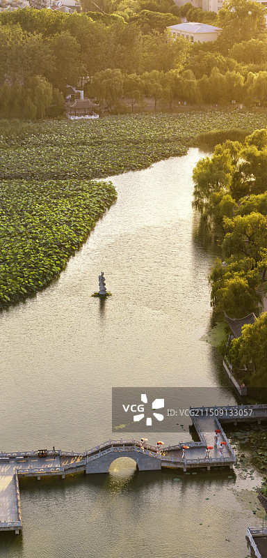 夕照扬州荷花池图片素材