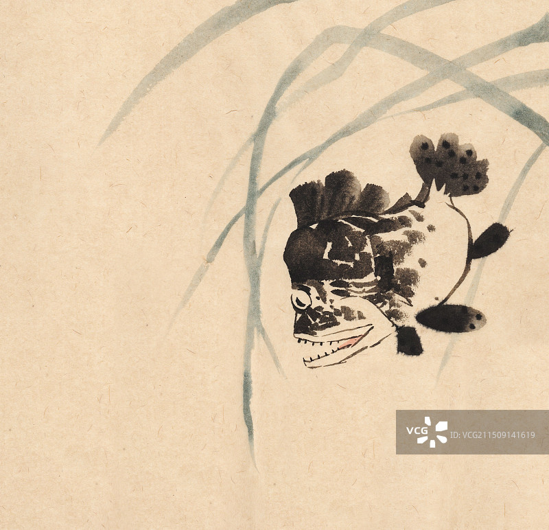 鳜鱼国画插画图片素材