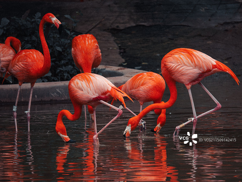 广州动物园图片素材