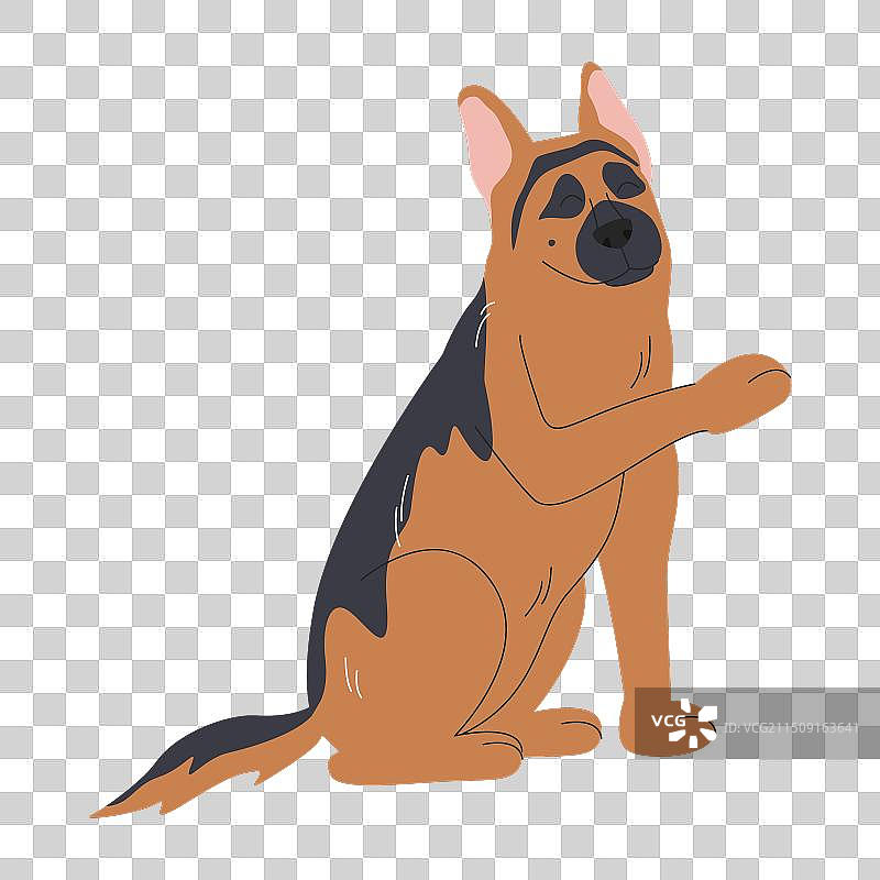 成年德国牧羊犬服从训练图片素材