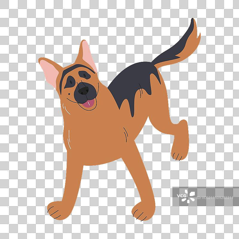 德国牧羊犬的情感支持图片素材