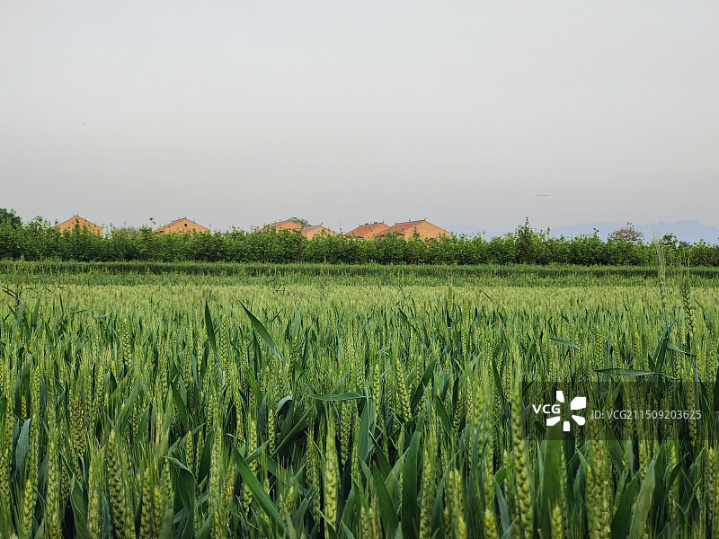 发一些存货图片素材