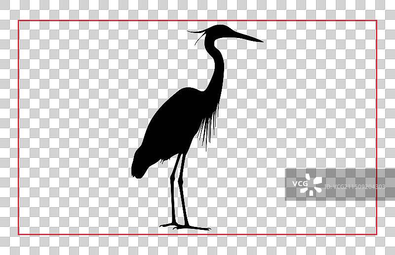 苍鹭剪影合集图片素材