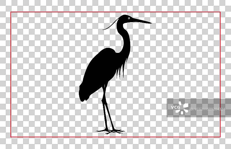 苍鹭剪影合集图片素材