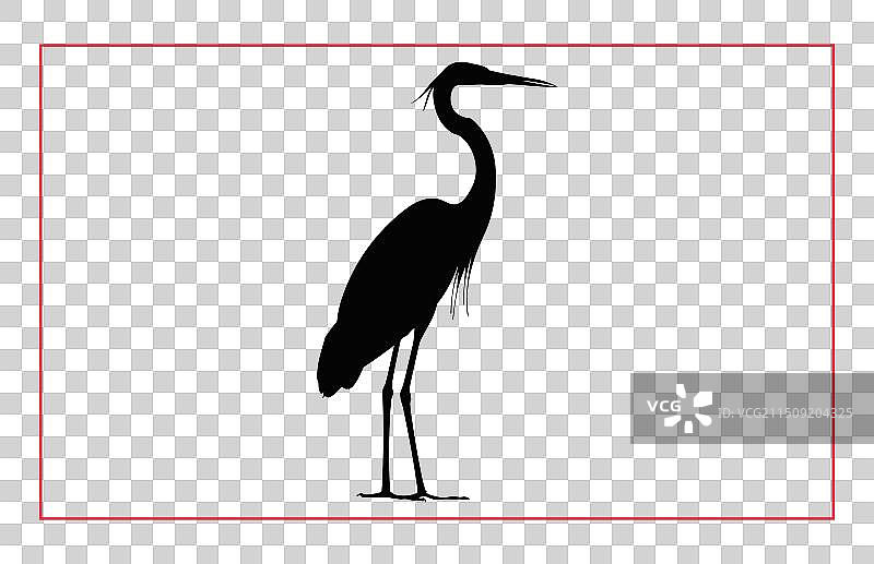 苍鹭剪影合集图片素材