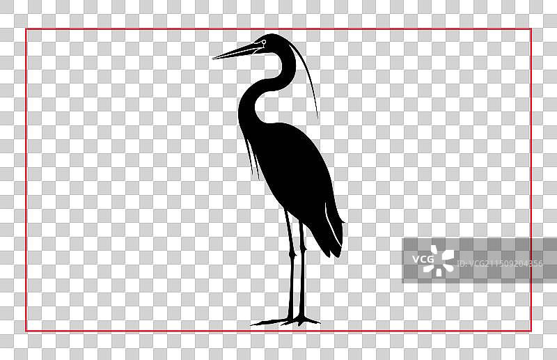 苍鹭剪影合集图片素材