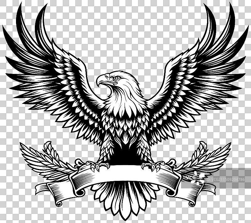 展开翅膀的秃鹰手绘图片素材