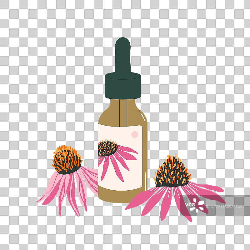 紫锥花精油滴管瓶图片素材