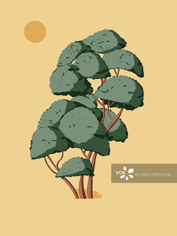 一棵树图片素材