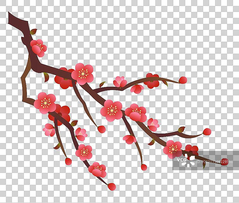 春节冬天梅花腊梅矢量元素图片素材