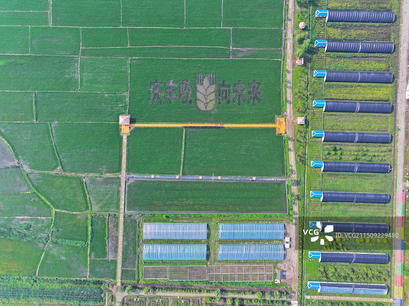 农业领域的高角度视角图片素材