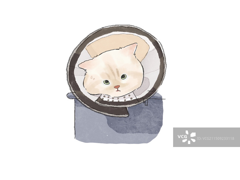 猫咪图片素材