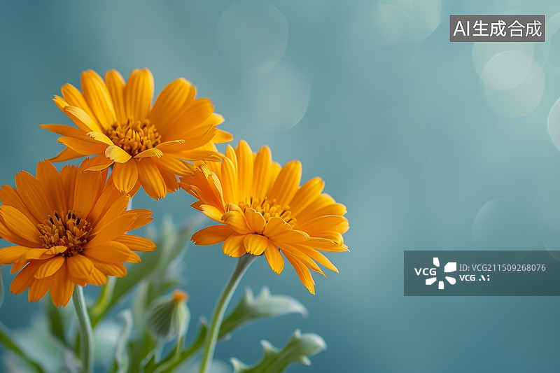 【AI数字艺术】黄色金盏菊花束图片素材